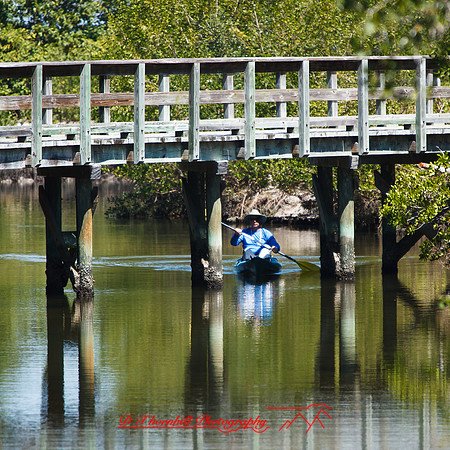 florida-march-2015-048