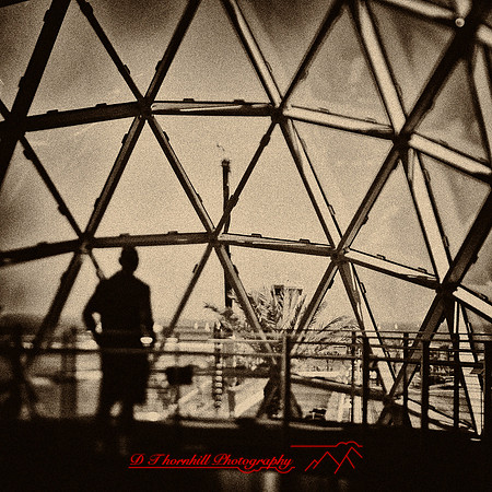 florida-2013-images-123-nas
