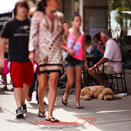 florida-2013-images-133