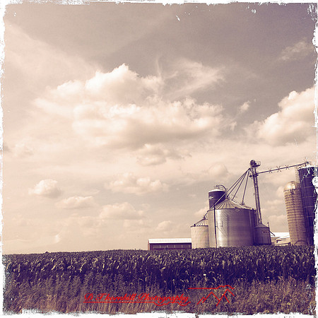 iPhone-2018-buildings rural-026