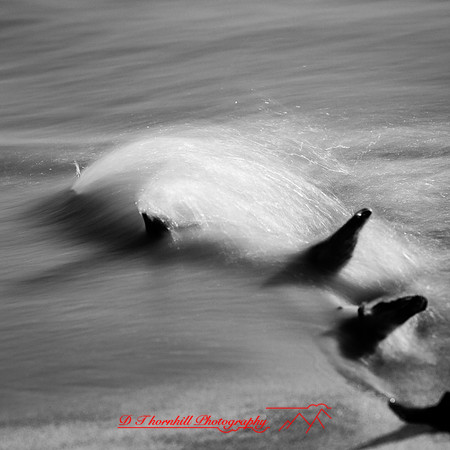 shadow-light-project-tawas-state-park-2014-016