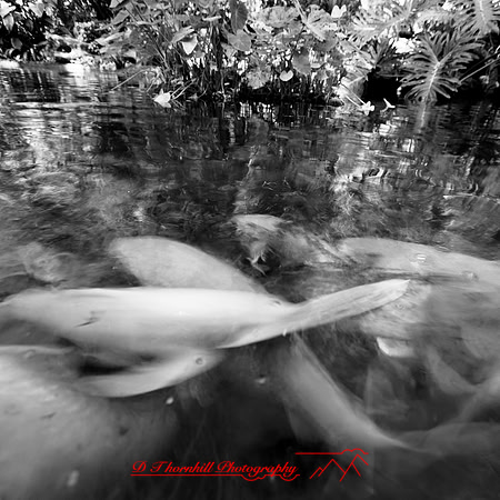 shadow-light-project-florida_2013-02