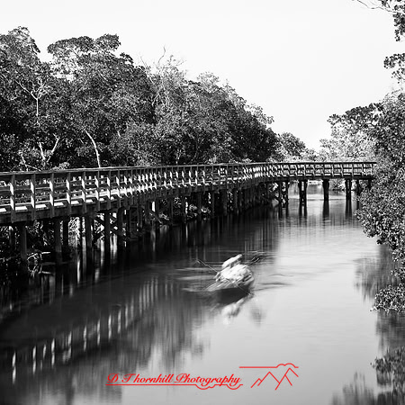 shadow-light-project-florida_2013-24