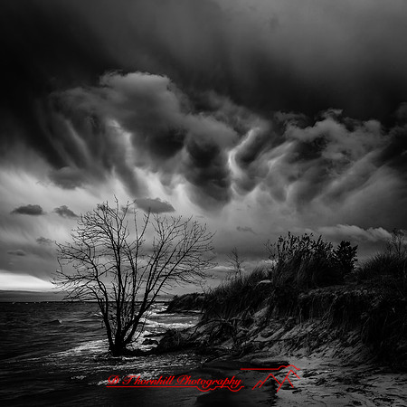 Tawas State Park-Nov-2017-002-nas