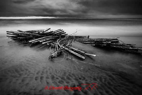 Tawas State Park-Nov-2017-017-nas