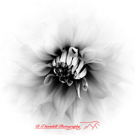 nature-images_2012-048