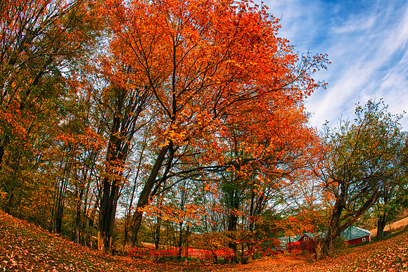 assorted_images-2011_36-01_HDR