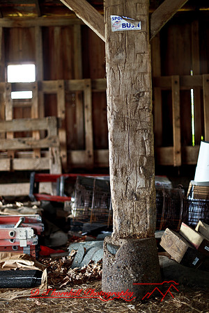 assorted_images-2011-140