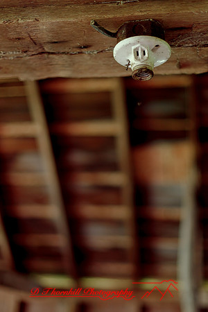 assorted_images-2011-142
