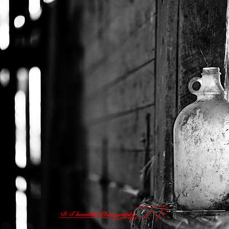 bird_farm_images_2013-035