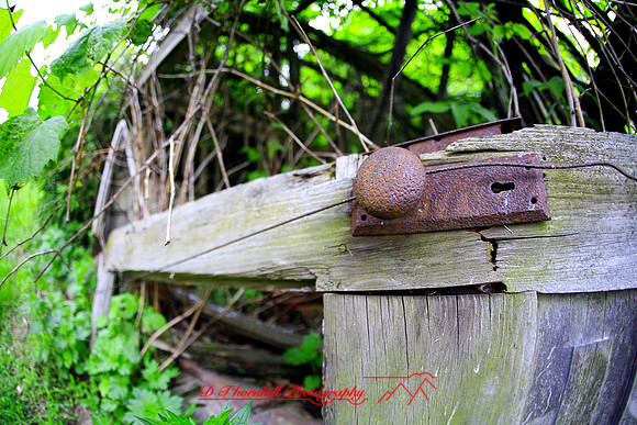 bird-farm_june-2006_48