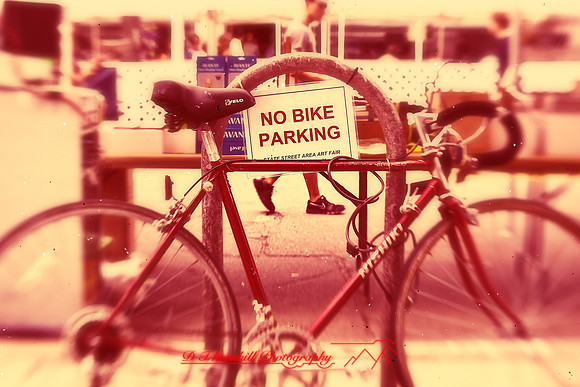 assorted_images-2012-013-nas