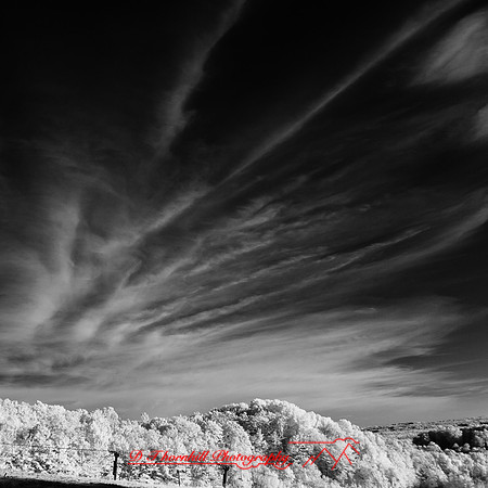 infrared-2018-sleeping-bear-dunes-006