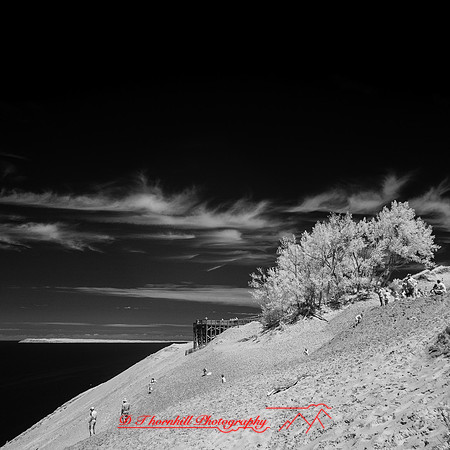 infrared-2018-sleeping-bear-dunes-011