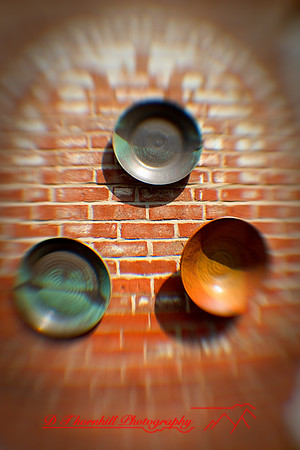 assorted_images-2009_74.jpg