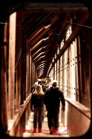 assorted_images-2011-127-nas