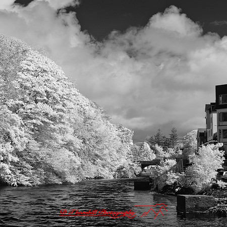 ireland-2013-267