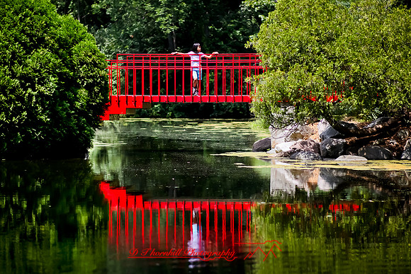 dow-gardens-2010_18