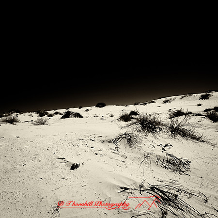 New Mexico-2017-color-016-nas