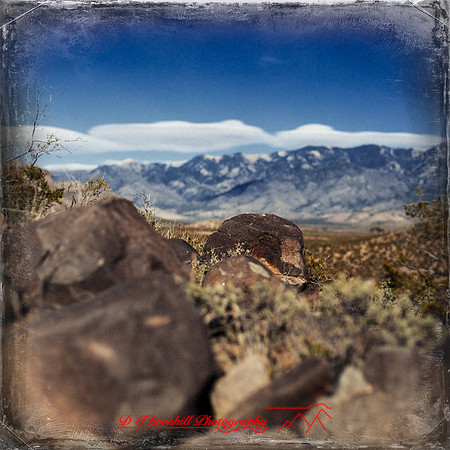New Mexico-2017-color-044-nas
