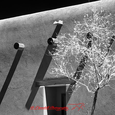 New Mexico-2017-Infrared-011-nas