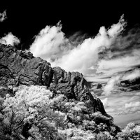 New Mexico