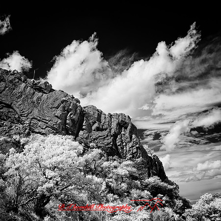 New Mexico-2017-Infrared-071-nas