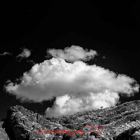 New Mexico-2017-Infrared-060-nas