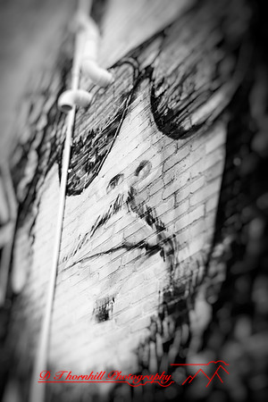 saginaw-images-2018-009-n-l-as