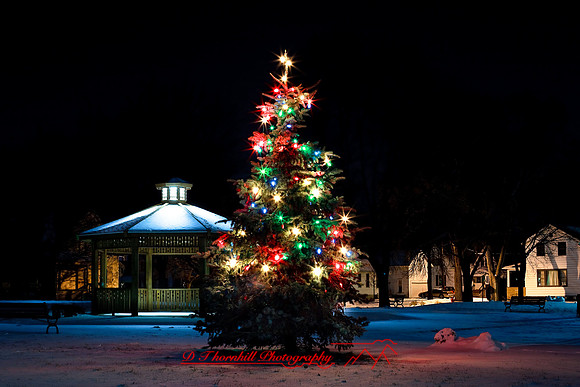 christmas-2009_06.jpg