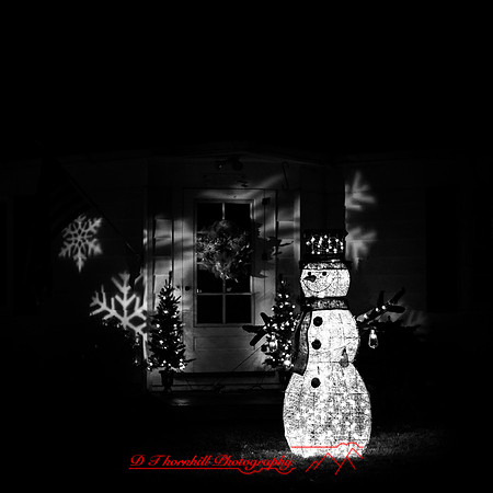 Saginaw-2019-christmas-018