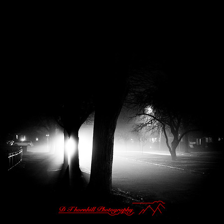 Saginaw-2019-christmas-026