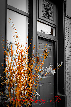 assorted_images-2008_08.jpg