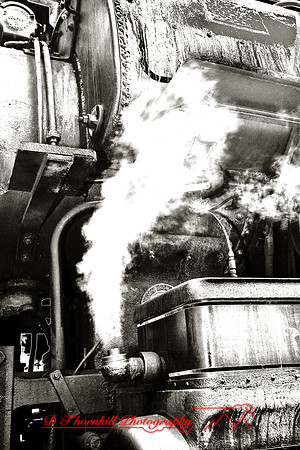 owosso_train-fest-2009_10-nik.jpg