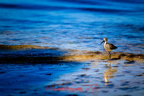 florida-2006_119