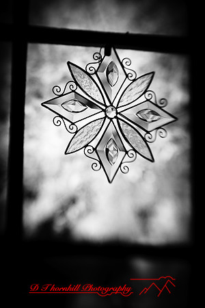 infrared-2010-random_018
