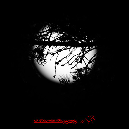 assorted images - 2022 - 004