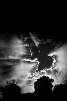 assorted images - 2022 - 001-nik-ps