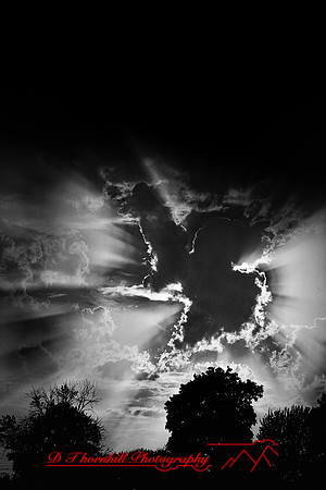 assorted images - 2022 - 001-nik-ps
