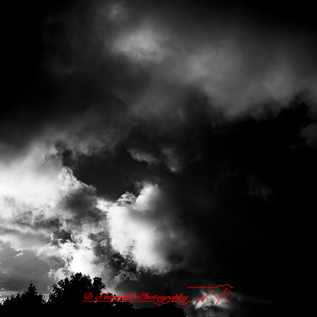 assorted images - 2022 - 005
