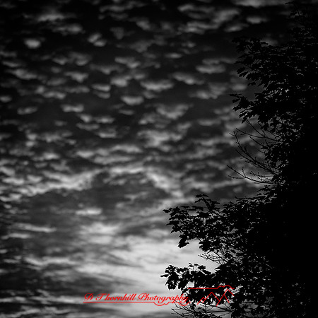 assorted images - 2022 - 002