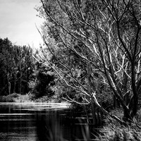 assorted images - 2022 - 009-nik-ps