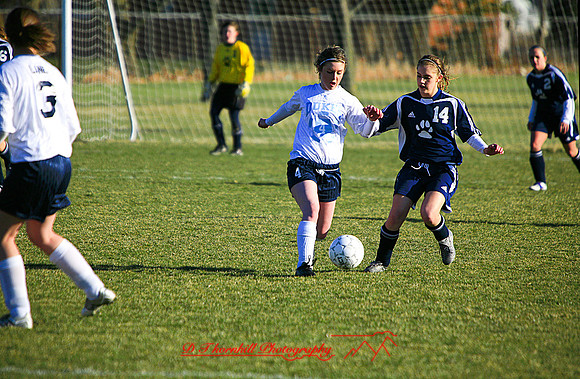 _MG_4501.jpg