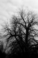 infrared-saginaw-2010_001