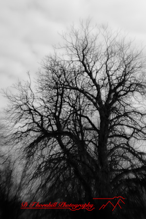 infrared-saginaw-2010_001
