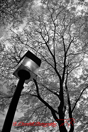 infrared-bay-city-2011-07