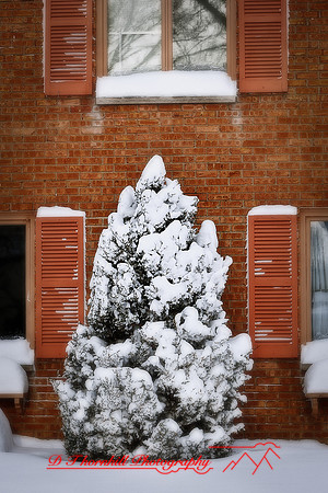 assorted_images-2012-032-nas