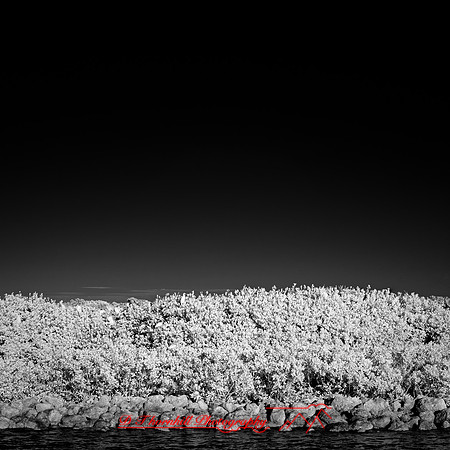 FL-March 2018-045_DxO