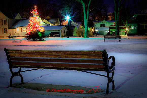 christmas-2009_08.jpg