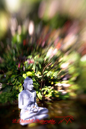 florida-2009-images_41.jpg